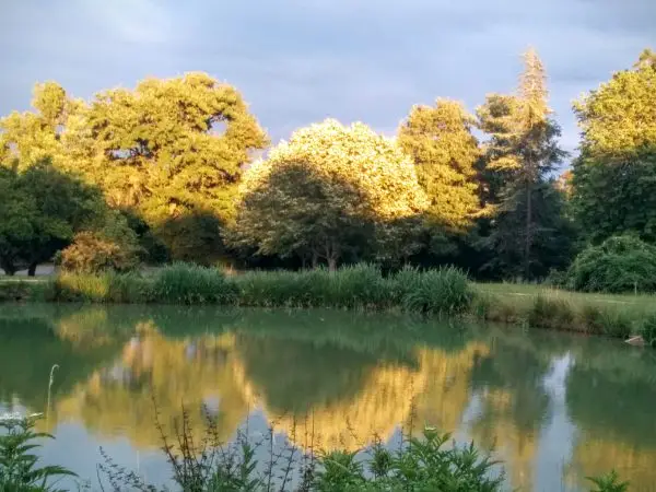 tenzin tseme artiste illustratrice sainte marie la mer 66