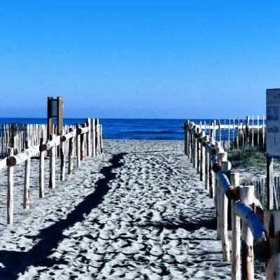 tenzin tseme artiste illustratrice sainte marie la mer 66